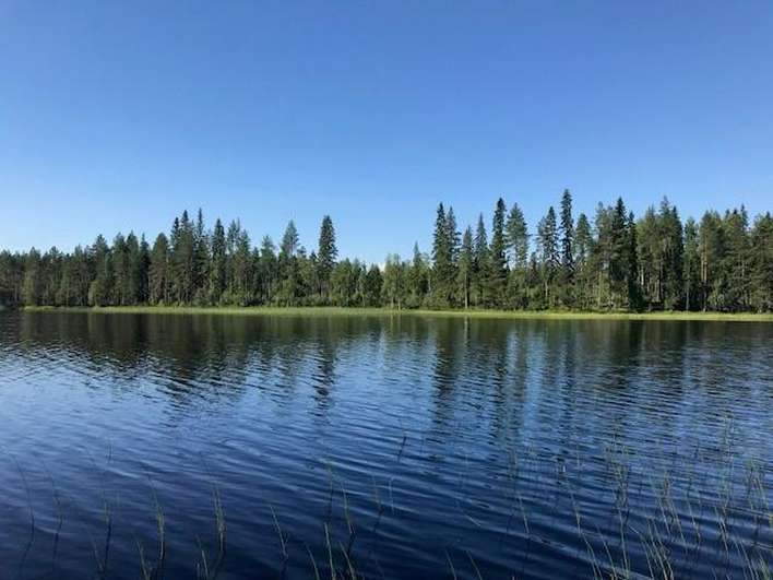 Loma-asunto, Juankoski / Säyneinen