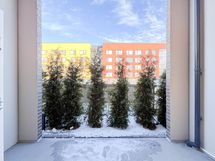 Kodin terassi on katettu.