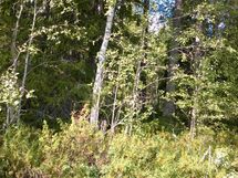 Kuhmo, Iso-Rommakkojärvi-Ontojärvi, Hyrynsalmentie