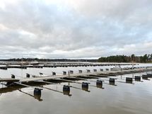 Klobbenin venesatama