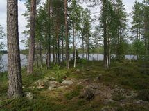 Sonkajärvi, Raudanvesi