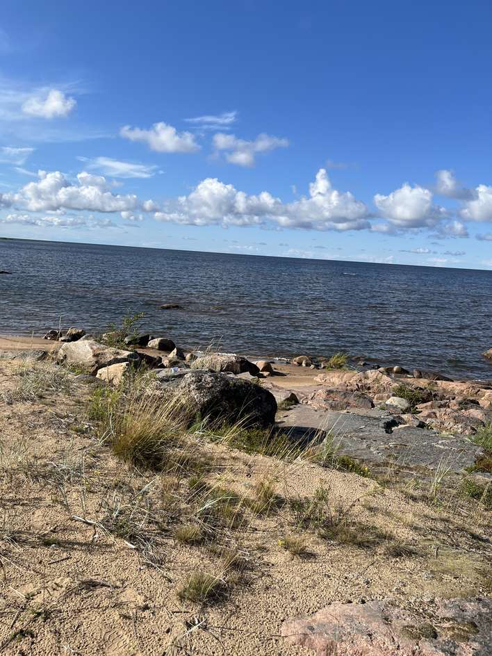 Tontti, 2 914 m², Yppäri - Näkymä 2