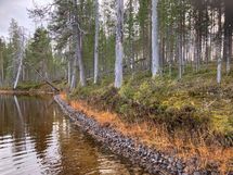 Kortteli 3, tontti 3