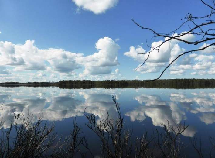 Tontti, 6 400 m², Piispajärvi, Suomussalmi
