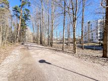 Alueella kivoja ulkoilumaastoja.