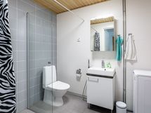Tilava kylpyhuone/wc