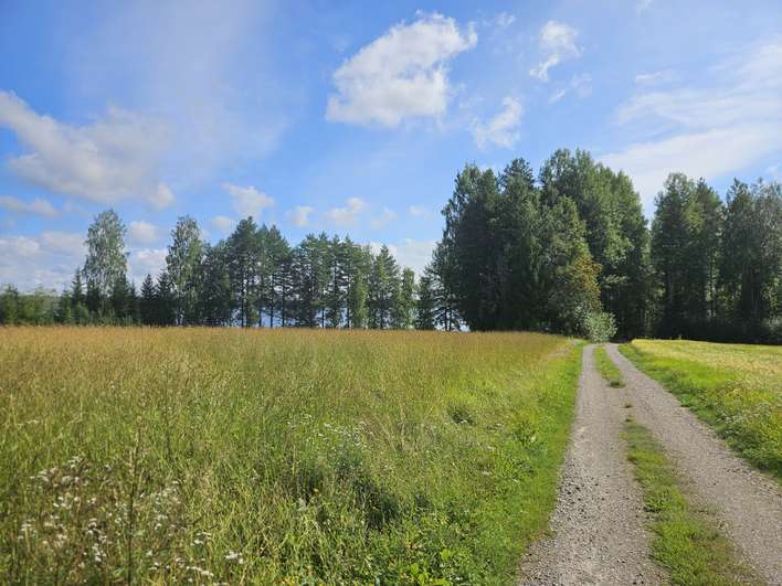 Tontti, 2 600 m², Hänniskylä, Konnevesi
