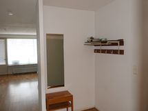 Tilava eteisaula josta käynti olohuoneeseen.