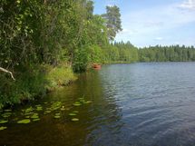 Tonttirantaa heinäkuussa