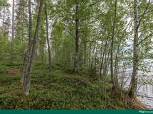 kuva 4 rantaviivaa länteen