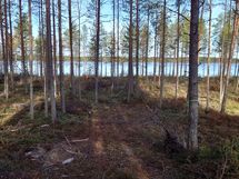 Näkymää lomarakennuksen paikalta