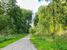 Alueella on hyvät puitteet ulkoiluun luonnon helmassa.