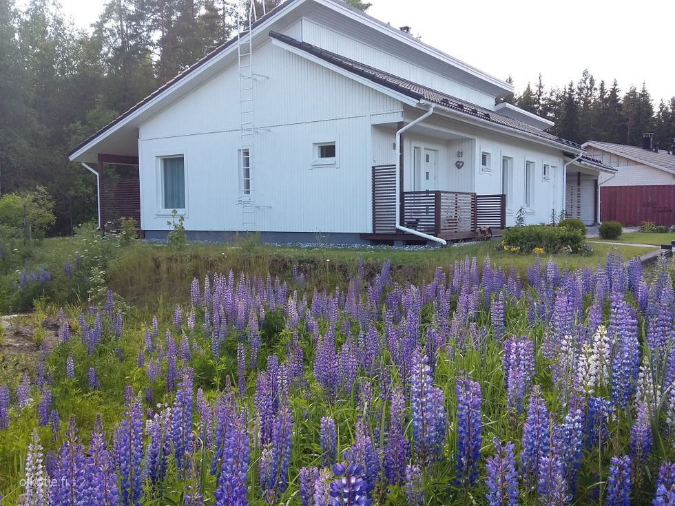 Kohdekuva