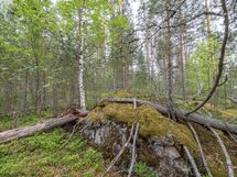 Kuva 8 länsirajalla