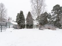 Pihaa