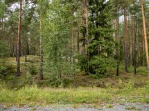 Salo, Särkisalo, Karhumäki