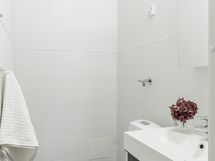 Erillinen wc, jossa paikka pyykkitornille