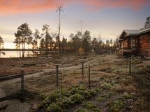 Voit korjata sadon omasta kasvimaasta ja mansikkamaasta