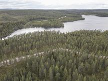 Rovaniemi-Venejärvi