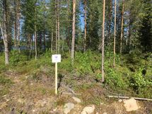 Suomussalmi, Kiantajärven eteläosa