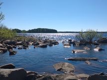Paltamo, Oulujärvi, Tietäväisenniemi