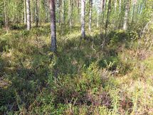 Puolanka, Pirttijärvi