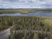 Rovaniemi-Venejärvi