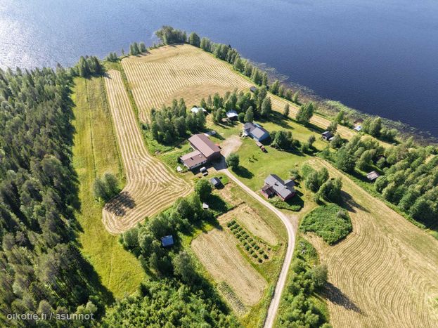 Asuntoilmoituksen kuva