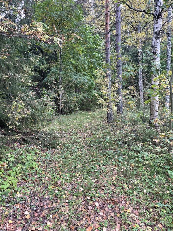 Tontti, 5 700 m², Savonlinna