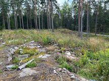 Näkymä rakennuspaikalta tielle