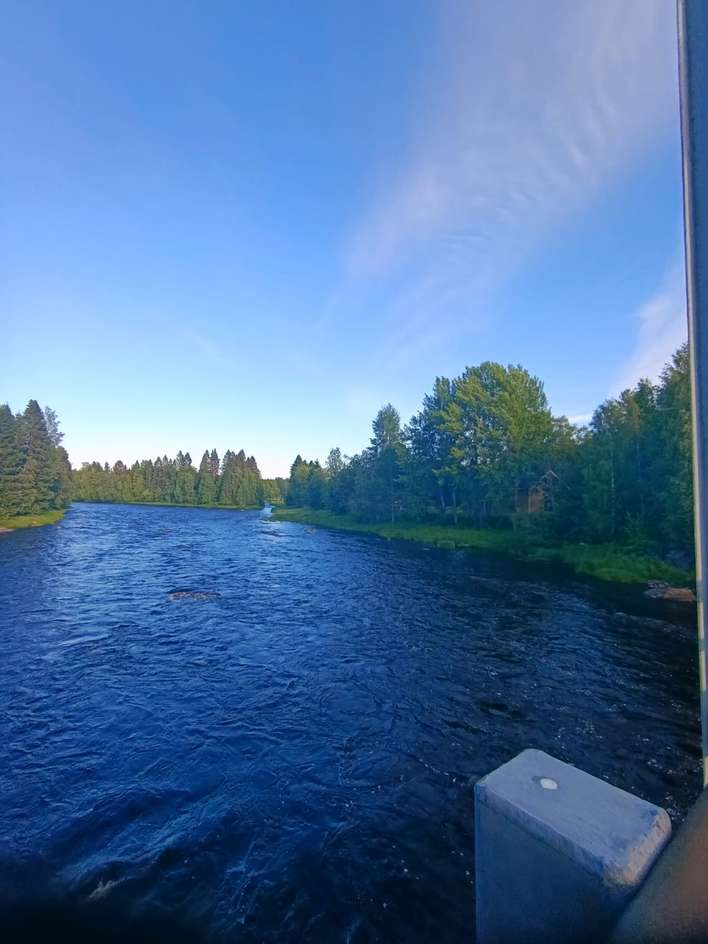 Tontti, 5 800 m², Oulu