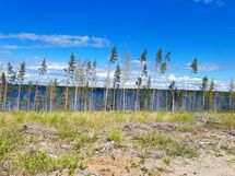 rinnetontti, mäen päällä tasaiset alueet