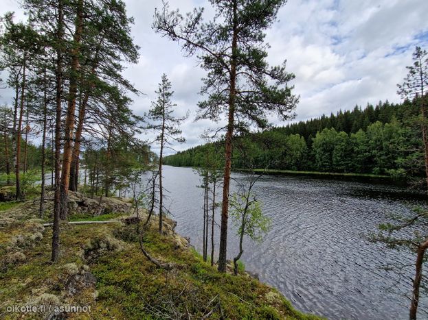Asuntoilmoituksen kuva