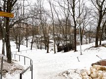 Alueella on puistoja, kuvassa Tauno Palon Puisto.