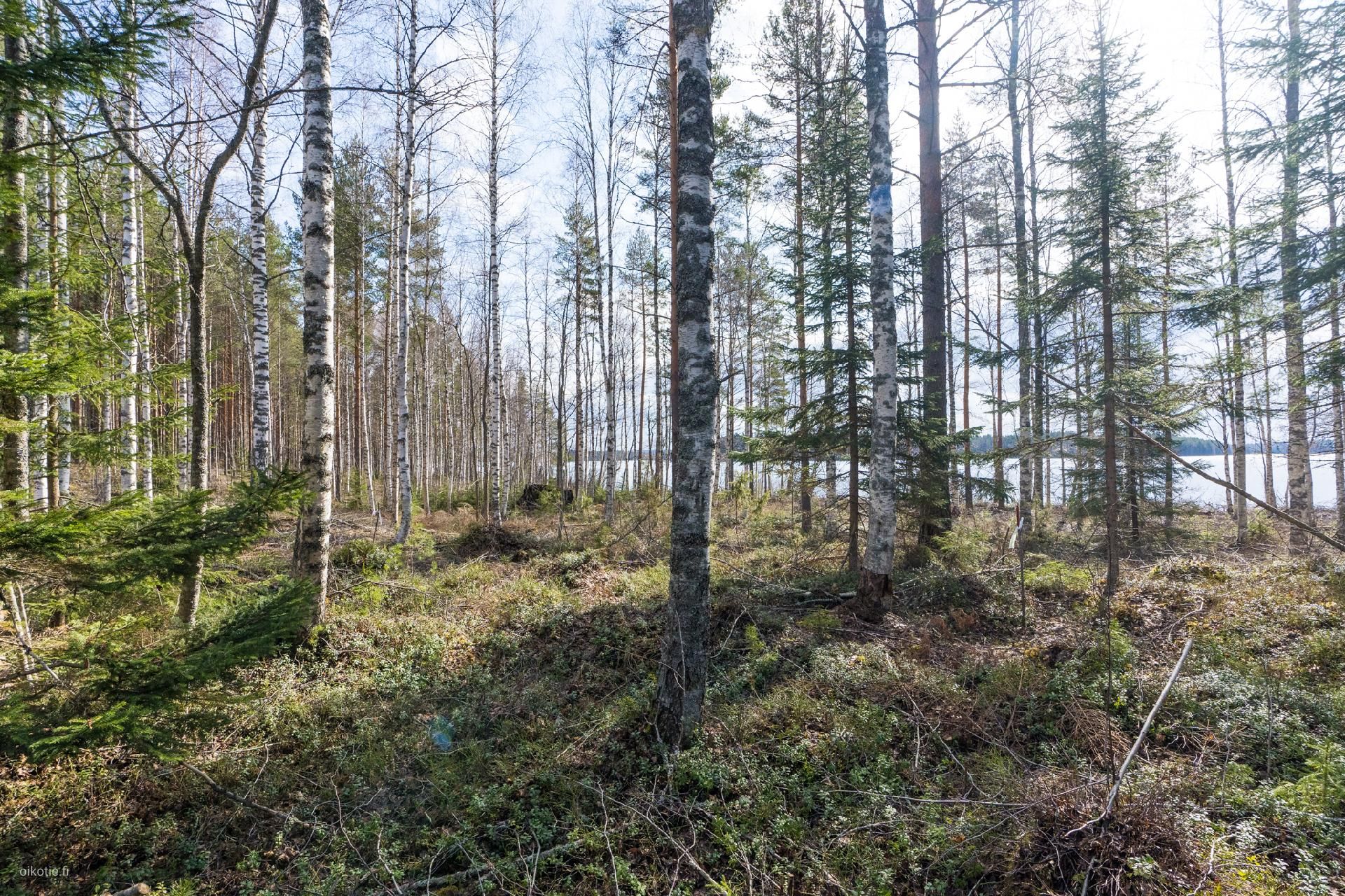 Tontti, 2 970 m², Keuruu - View 2