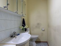 Erillinen wc