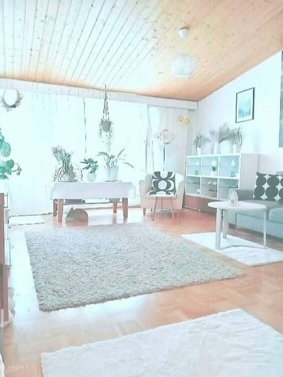 Kohdekuva