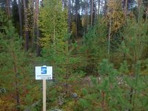 Hyrynsalmi, Hyrynjärven länsiosa