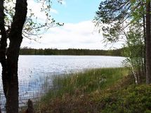 Saarijärvi, Isojärvi