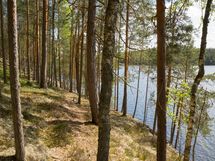 Heinävesi, Karvio, Virranniemi