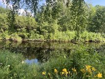 Jokimaisema