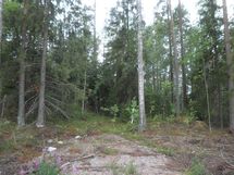 Tila Vehkaniemi RN:o 2:104