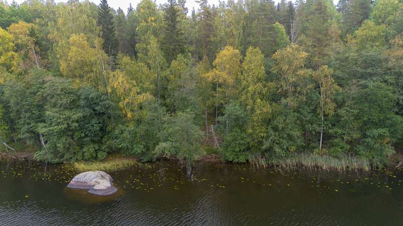 Tontti, 3 980 m², Kirkkola, Hartola