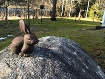 Piha keväällä