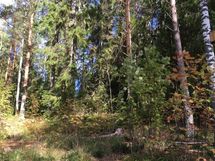 Lohja, Pusula