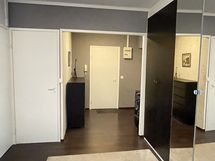 Tyylikäs wc eteishallin yhteydessä.