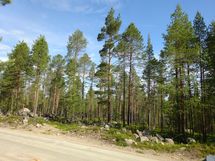 Kemijärvi, Soppela, Ketovaara