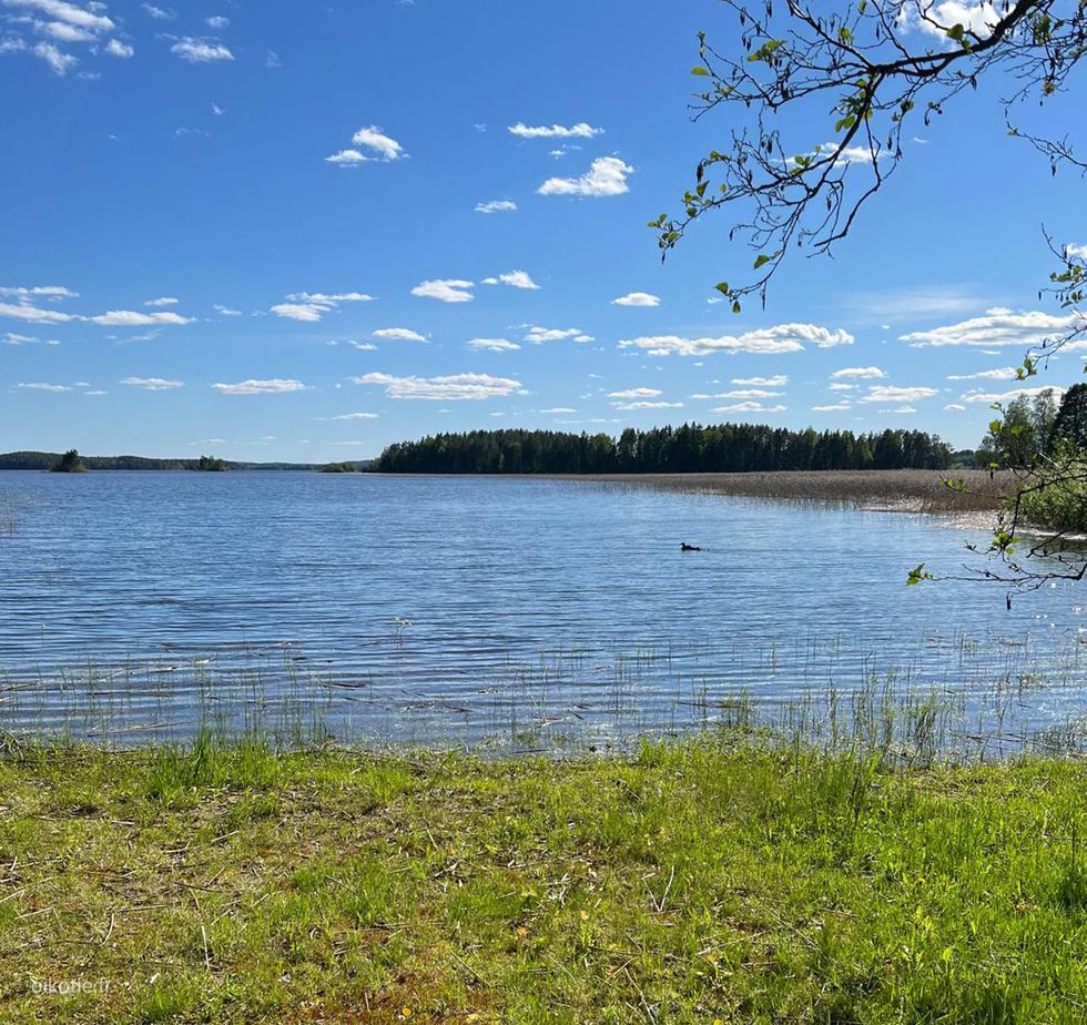 Kohdekuva