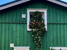 Myyjän omia kuvia pihalta eri vuoden aikoina