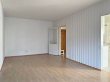 Olohuoneesta kuljetaan keittiöön, eteiseen ja makuuhuoneeseen